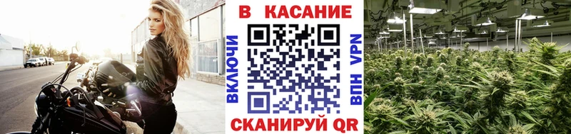 Хочу наркоту Шенкурск Гашиш  МАРИХУАНА  Cocaine  Псилоцибиновые грибы  МЕФ  АМФЕТАМИН 