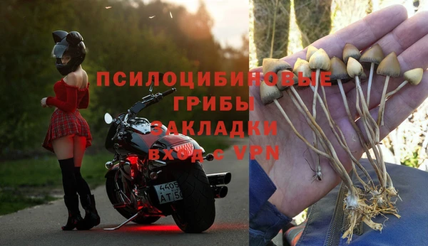 скорость Абинск