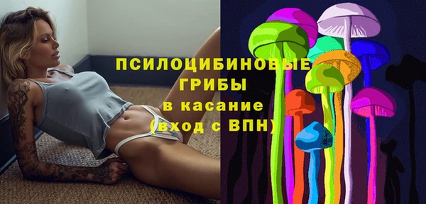 шишки Абдулино