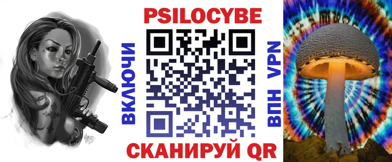 Псилоцибиновые грибы Psilocybine cubensis где найти наркотики mega ССЫЛКА сайты даркнета формула Шенкурск