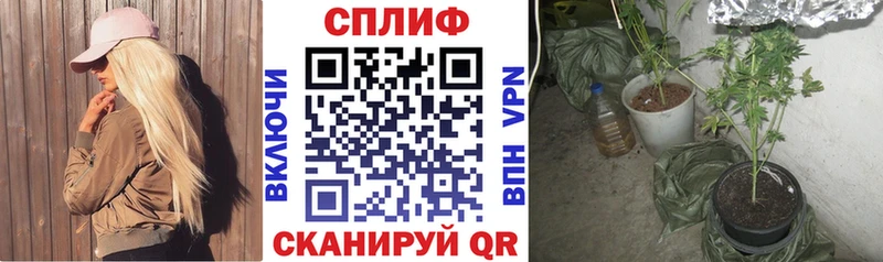 Шишки марихуана ГИДРОПОН  Шенкурск 